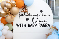 Baby Parra Shower
