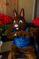 Easter Bunny Costeaux