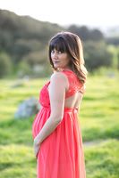 Colgan Pregnancy