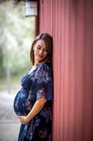 Haub Pregnancy